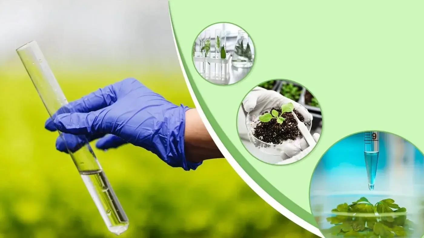 Nanoparticle analyzers in Saudi Arabia